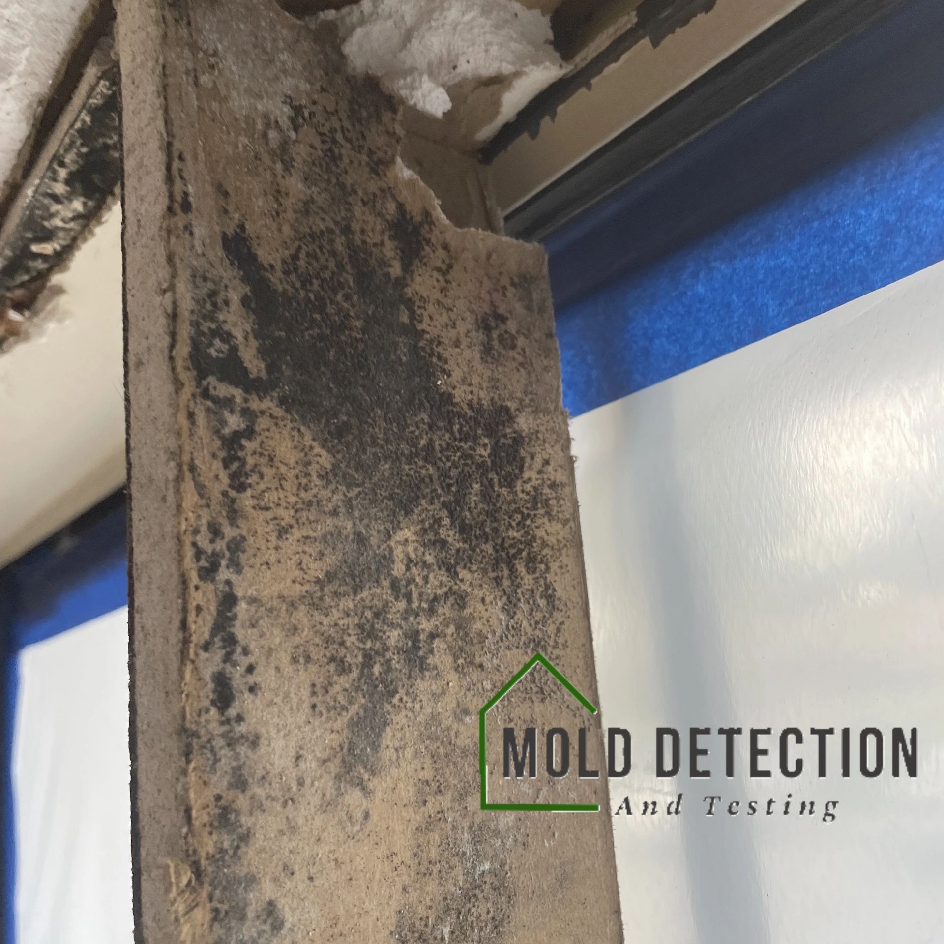 Ontario, CA Mold Testing And Inspection Services